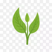 叶绿色图形便携网络图adobe Photoshop-空若网 叶绿色图形便携网络图adobe Photoshop-空若网