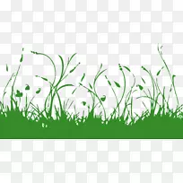 ͼ��pngͼƬ��ͼ.��-������