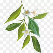 ͼÐÎͼÏñ²åͼˮ²Ê»pngͼƬÃÀÀöµÄ»¨¶ä-¿ÕÈôÍø ͼÐÎͼÏñ²åͼˮ²Ê»pngͼƬÃÀÀöµÄ»¨¶ä-¿ÕÈôÍø