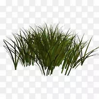 Adobe PhotoshoppngͼƬ��ݱ�ֲ��.ֲ��-������