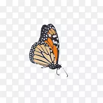 ���������������Ȧ������Ů����������������������-���Ƕ�˹��-������