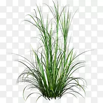 ������pngͼƬͼ����Ʋ�-������