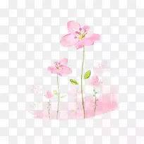 粉红花水彩画花卉图案-空若网 粉红花水彩画花卉图案-空若网