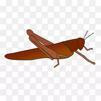 ·É»úÀ¥³æÄ£ÐÍ·É»ú²úÆ·Éè¼Æ.·É»ú-¿ÕÈôÍø ·É»úÀ¥³æÄ£ÐÍ·É»ú²úÆ·Éè¼Æ.·É»ú-¿ÕÈôÍø