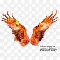 防火艺术-燃烧的信a PNG-空若网 防火艺术-燃烧的信a PNG-空若网