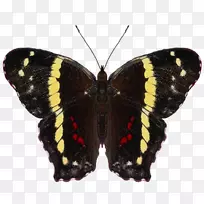 ë���׵ĺ����ͻ��۵�������.����-������