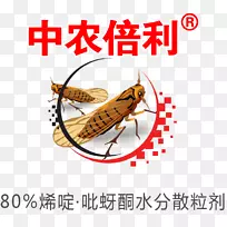 ����������ߺ���ɱ���-������