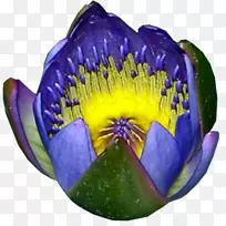 ������-������