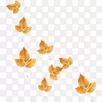 橙色S.A.-金叶-空若网 橙色S.A.-金叶-空若网