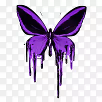 ºûµûË¢×ãºûµûͼÐÎÀ¥³æÄñ³áºûµû-¿ÕÈôÍø ºûµûË¢×ãºûµûͼÐÎÀ¥³æÄñ³áºûµû-¿ÕÈôÍø