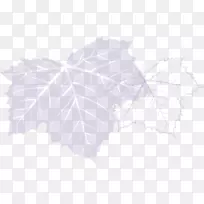 枝叶状-空若网 枝叶状-空若网