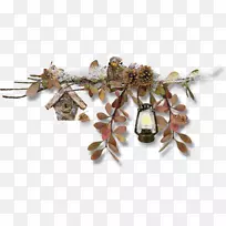 Ê¥µ®½ÚͼƬpngͼƬʥµ®½ÚͼÐÎcalabrosa-µÈ6-¿ÕÈôÍø Ê¥µ®½ÚͼƬpngͼƬʥµ®½ÚͼÐÎcalabrosa-µÈ6-¿ÕÈôÍø