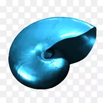 外壳在蓝色图像png图片设计-空若网 外壳在蓝色图像png图片设计-空若网