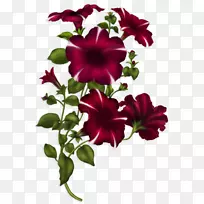 保险杠贴纸青蛙迷迭香贺卡-空若网 保险杠贴纸青蛙迷迭香贺卡-空若网