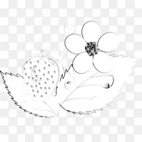 素描传粉昆虫绘画艺术-昆虫-空若网 素描传粉昆虫绘画艺术-昆虫-空若网