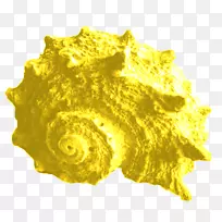 芝加哥电视节目生物节夏日海滩-空若网 芝加哥电视节目生物节夏日海滩-空若网