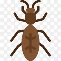 昆虫蚂蚁计算机图标可伸缩图形封装后记昆虫-空若网 昆虫蚂蚁计算机图标可伸缩图形封装后记昆虫-空若网