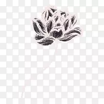 png图片图像adobe Photoshop神圣莲花设计线-空若网 png图片图像adobe Photoshop神圣莲花设计线-空若网