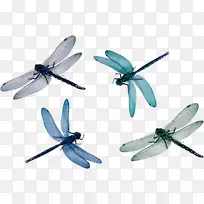 蜻蜓翅膀png图片剪辑艺术图像.蜻蜓-空若网 蜻蜓翅膀png图片剪辑艺术图像.蜻蜓-空若网
