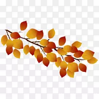 图,插图,摄影,秋天.树枝符号-空若网 图,插图,摄影,秋天.树枝符号-空若网