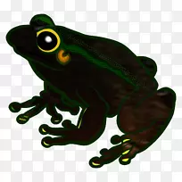 青蛙剪贴画图形png图片免费内容-空若网 青蛙剪贴画图形png图片免费内容-空若网