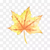 ͼÐÎË®²Ê»Í¼ÏñÒ¶»ÂäÒ¶-¿ÕÈôÍø ͼÐÎË®²Ê»Í¼ÏñÒ¶»ÂäÒ¶-¿ÕÈôÍø