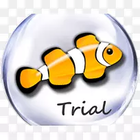 鱼水族馆游戏.海洋模拟水族馆活壁纸三维海洋碎片-android应用软件-空若网 鱼水族馆游戏.海洋模拟水族馆活壁纸三维海洋碎片-android应用软件-空若网