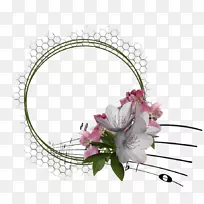 ͼƬ�����Ĳ�����Ӱ��pngͼƬ-������