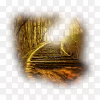 ÉãÓ°ÒÕÊõ¼ÒÉè¼Æ-À¼Ë¹¿¨ÆÕµØÖк£-¿ÕÈôÍø ÉãÓ°ÒÕÊõ¼ÒÉè¼Æ-À¼Ë¹¿¨ÆÕµØÖк£-¿ÕÈôÍø