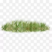 ��ƺ������pngͼƬͼƬ��-������