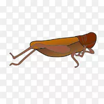 绘画剪贴画产品设计昆虫标记克里利写实-空若网 绘画剪贴画产品设计昆虫标记克里利写实-空若网