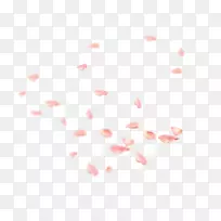 花瓣花图像adobe Photoshoppng图片.花瓣-空若网 花瓣花图像adobe Photoshoppng图片.花瓣-空若网