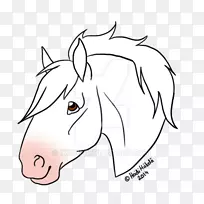 鼻子骡子夹艺术束野马-rh-空若网 鼻子骡子夹艺术束野马-rh-空若网