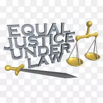 ���ɸ��趯��-������