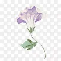 花png图片剪辑艺术图像绘图.牵牛花-空若网 花png图片剪辑艺术图像绘图.牵牛花-空若网