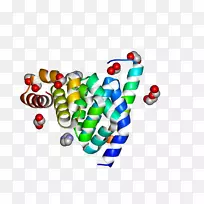 ������ϵ�в�Ʒ��������-������