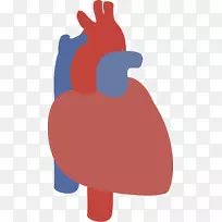 糖尿病健康饮食补充营养多斯托伊卡·霍利斯-空若网 糖尿病健康饮食补充营养多斯托伊卡·霍利斯-空若网