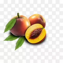 ������pngͼƬ�洢.xchngͼ����Ӱ-��-������