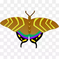 图形昆虫插图图像昆虫-空若网 图形昆虫插图图像昆虫-空若网