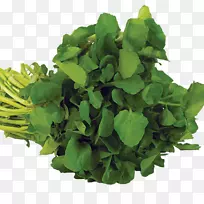 菜、豆瓣菜、草本、素食、蔬菜-蔬菜-空若网 菜、豆瓣菜、草本、素食、蔬菜-蔬菜-空若网