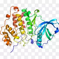剪贴画有机体线身首饰-apo-空若网 剪贴画有机体线身首饰-apo-空若网