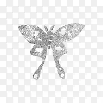 蛾/m/02csf绘制昆虫产品-海底绿蝴蝶-空若网 蛾/m/02csf绘制昆虫产品-海底绿蝴蝶-空若网