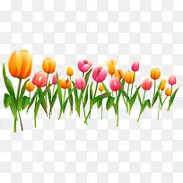 郁金香插花艺术-三月-空若网 郁金香插花艺术-三月-空若网