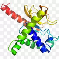剪贴画植物茎线动物-apo-空若网 剪贴画植物茎线动物-apo-空若网