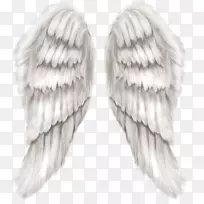 天使翼天使-白色天使翅膀透明PNG剪贴画图像-空若网 天使翼天使-白色天使翅膀透明PNG剪贴画图像-空若网