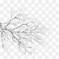 pngͼƬѩ֦ͼ����-ѩ-������