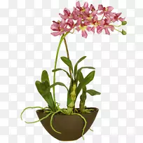 兰花设计png图片图像植物.兰花-空若网 兰花设计png图片图像植物.兰花-空若网