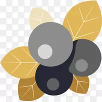 pngͼƬʥ�������ͼƬ����-ʥ���ڹ����-������