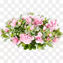 »¨Ô°Ãµ¹å»¨Êø·Ûºì°×Ê®×Ö¹Ç-¿ÕÈôÍø »¨Ô°Ãµ¹å»¨Êø·Ûºì°×Ê®×Ö¹Ç-¿ÕÈôÍø