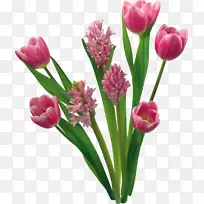 花郁金香花园玫瑰剪贴画-春天-空若网 花郁金香花园玫瑰剪贴画-春天-空若网